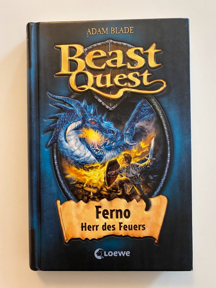 Beast Quest 10 Bücher Nr. 1,2,3,4,9,10,12,31’ in Rosenheim