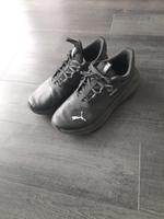 Puma Schuhe 42,5 Wandsbek - Hamburg Rahlstedt Vorschau