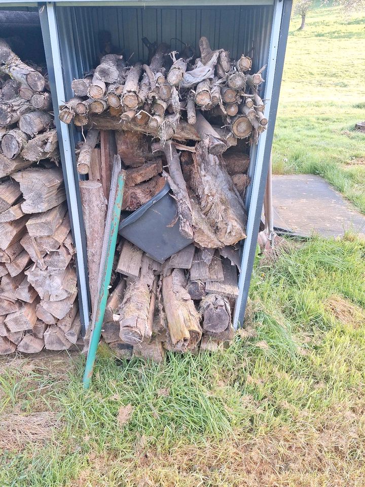 Brennholz gerissen, Tanne, Holz in Wiehl