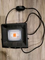 TOP✅️ Pflanzenlampe 50 Watt GrowLight Sachsen - Ebersbach/Sachsen Vorschau