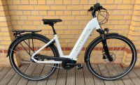 VICTORIA eTrekking 11.6 E-Bike 500 Wh Tiefeinstieg Rücktritt Sachsen-Anhalt - Magdeburg Vorschau