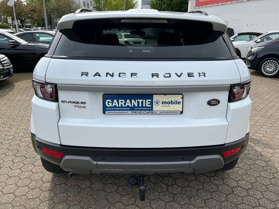 Land Rover Range Rover Evoque Pure in Mönchengladbach