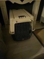 Hundebox Flugbox Nürnberg (Mittelfr) - Nordstadt Vorschau