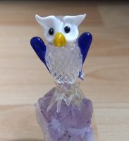 Schöne Glas-Eule auf Amethyst Druse Edelstein Mineralien Dortmund - Innenstadt-Ost Vorschau