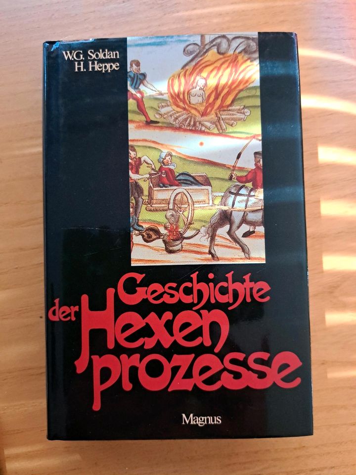 Geschichte der Hexenprozesse von W.G. Soldan, H. Heppe in Goslar