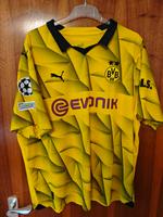 BVB Champions League Trikot Saarbrücken-Halberg - Eschringen Vorschau