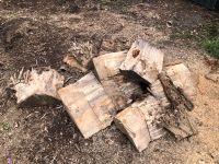 Brennholz zu verschenken Essen - Karnap Vorschau