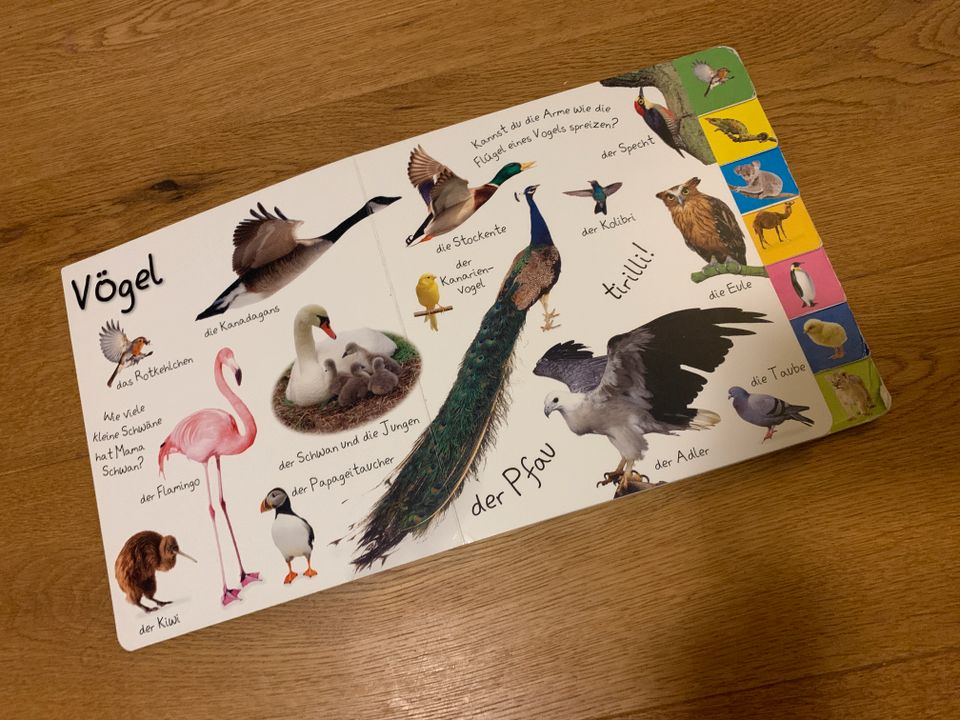 Buch für Kinder Babys Erstes Lernen Tiere in Jena