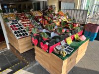 Lebensmittel Feinkost Obst und Gemüse laden Berlin - Wilmersdorf Vorschau