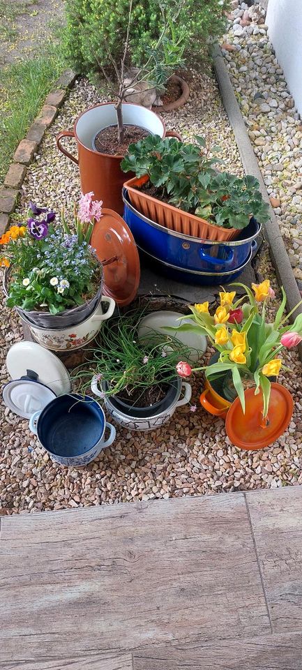 Garten Töpfe DDR Bräter Bauerngarten Übertöpfe in Oßling