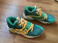 Nike Basketballschuhe Gr.41 Rheinland-Pfalz - Lambsheim Vorschau