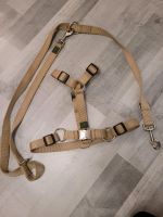 Hunter Set Geschirr L Leine 2m beige Alustrong Baden-Württemberg - Sinsheim Vorschau