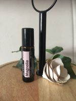 Magnolia doterra Neu Hessen - Bebra Vorschau