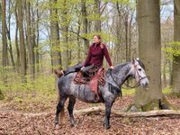 Nettes Freizeitpferd  -Stute Rheinland-Pfalz - Urbach Westerw Vorschau