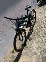 Fahrrad Pegasus Avanti Brandenburg - Nuthetal Vorschau