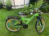 Pegasus Acona 24” Fahrrad grün Brandenburg - Caputh Vorschau