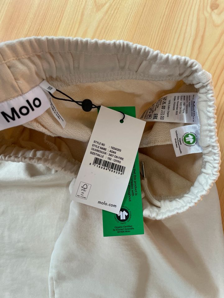 Molo Sweatshirt, Molo Hose 152 Neu in Köthen (Anhalt)