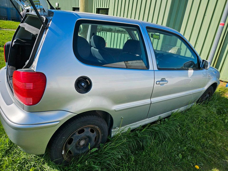 VW Polo 6N in Eggebek