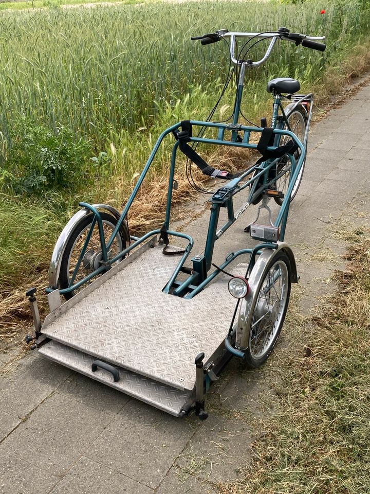 Rollstuhlfahrrad Lastenfahrrad Van Raam Velo Plus zu verkaufen in Wesel