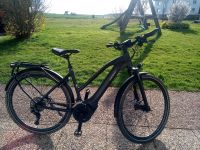 E- Bike Trekkingrad Giant Explore Hessen - Münchhausen Vorschau