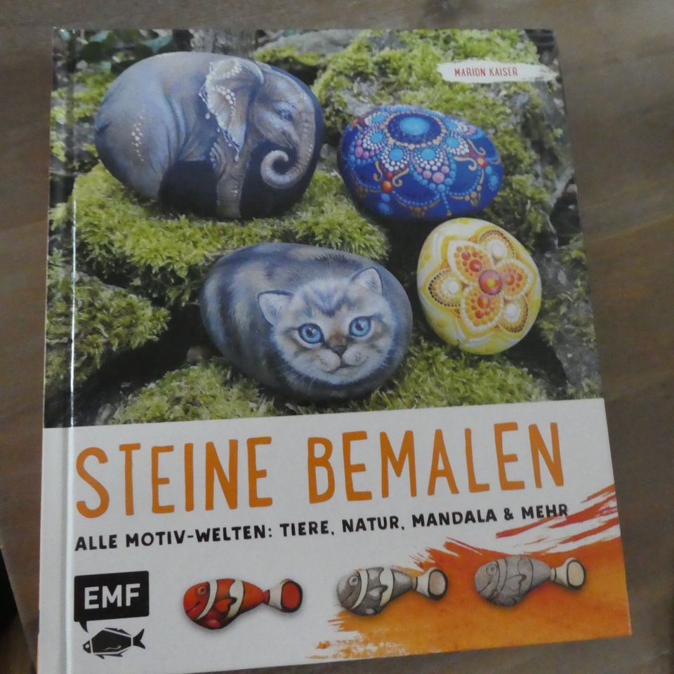 Buch: Steine bemalen in Föhren bei Trier