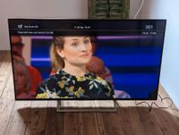 TV-Gerät Fernseher 55Zoll Sony KD-55 XE 7005 mit Fernbedienung Hessen - Reichelsheim (Odenwald) Vorschau