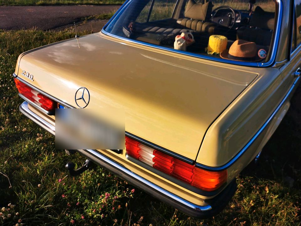 Mercedes Benz W123 230 in Dachau