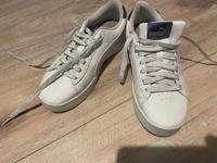Puma Schuhe Gr 36 Brandenburg - Potsdam Vorschau