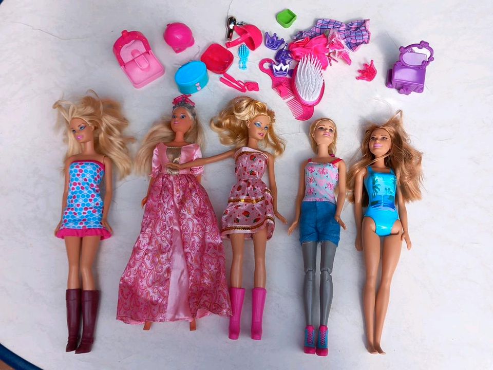 Barbie und Steffie Sammlung mit Zubehör in Hesel