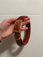 Hunde-Halsband verstellbar 43-48 cm Schleswig-Holstein - Witzhave Vorschau