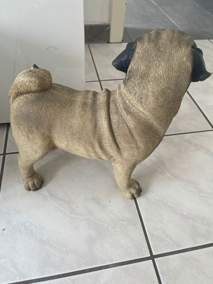 Deco Hund Mops in Mönchengladbach