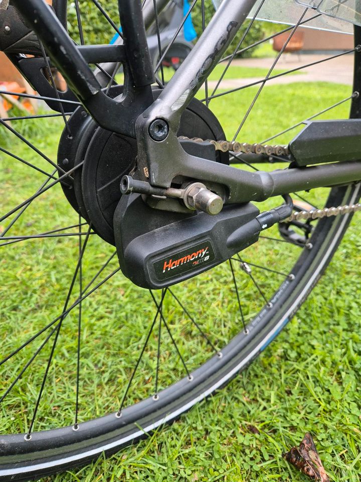 Koga E-Bike  Pärchenfahrräder in Großenkneten