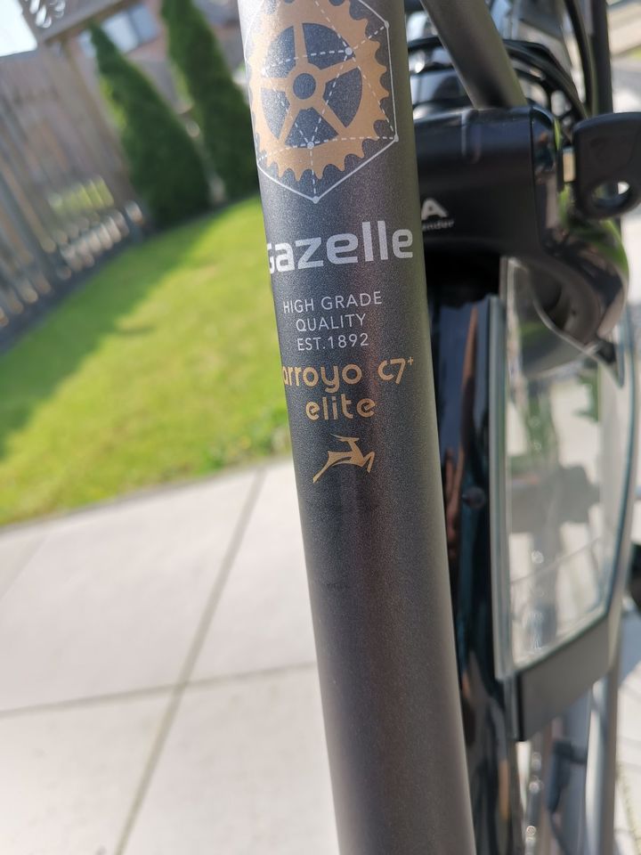 Damenrad Gazelle Arroyo C7+ HMB Elite E-Bike Rücktritt 57erRahmen in Brüggen