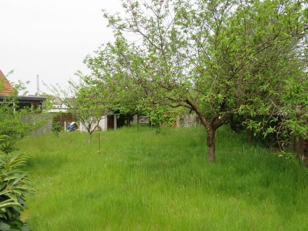 *Unterlüß* großzügiges EFH mit Garage auf 1117 m² Grundstück. in Unterlüß