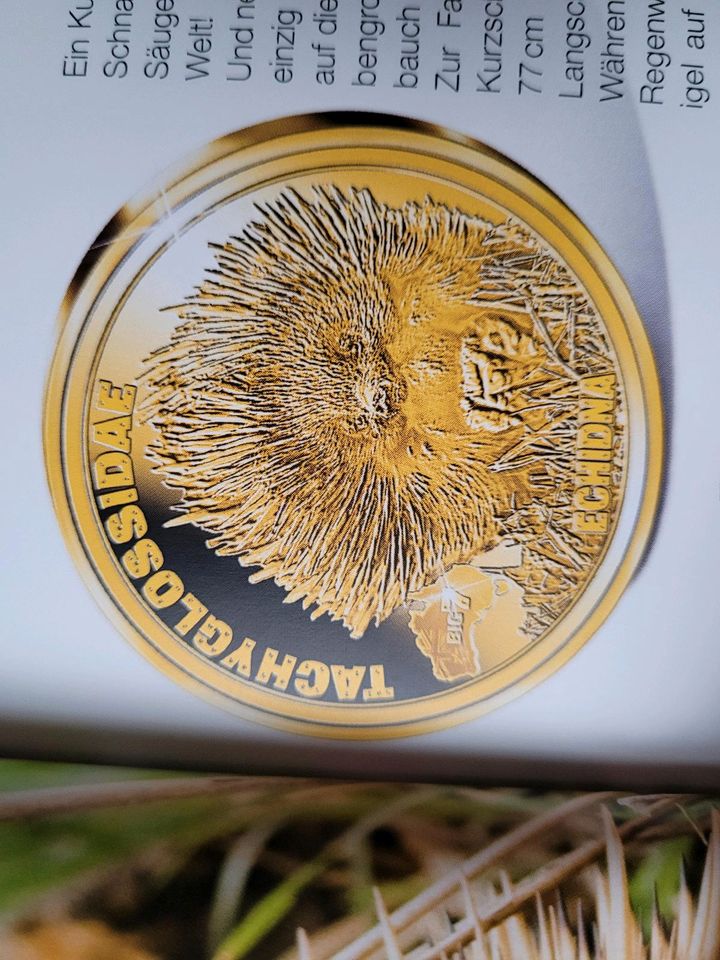 Big Seven 7 Australien Goldmünzen komplette Sammlung! in Aschau am Inn