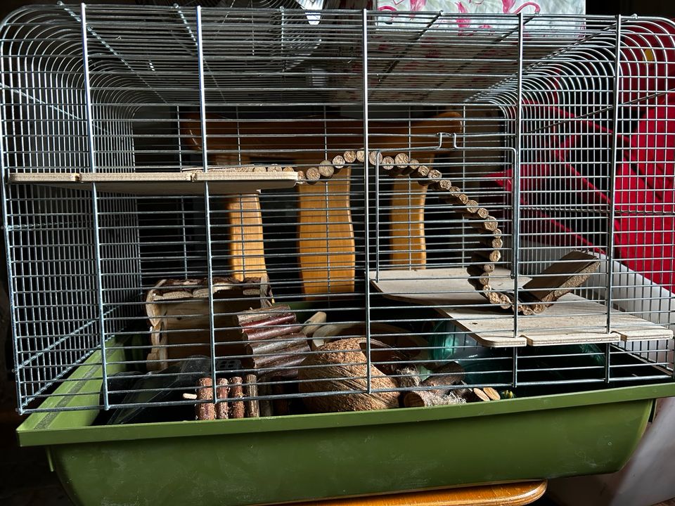 Hamsterkäfig in Kreischa