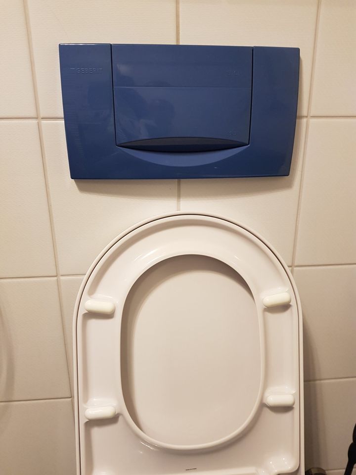 WC Drückerplatte in Aloa Mangoblau in Fürth