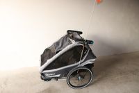 Kinderfahrradanhänger Qeridoo Kidgoo 2 Sport Grey Sachsen - Puschwitz Vorschau