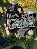 Motor Block vw Passat Bj 2002  1,9 TDI  130 Ps Nordrhein-Westfalen - Rahden Vorschau