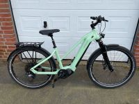 HoheAcht PASIA TERENO E-Bike 2023 42cm Shimano Di2 EP801  700KM Niedersachsen - Soltau Vorschau