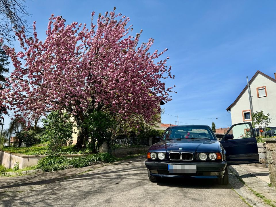 BMW E34 525i Limousine in Staufen im Breisgau