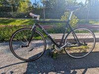 Fahrrad DIY Singlespeed Optik mit SRAM 3 Gang + Bremsen Rostock - Kröpeliner-Tor-Vorstadt Vorschau