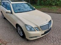 MERCEDES-BENZ E 200 CDI Niedersachsen - Bad Fallingbostel Vorschau