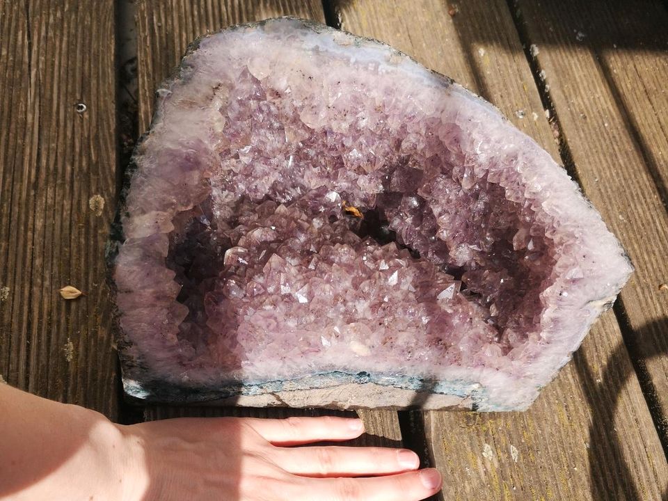 Druse Amethyst in Dresden