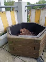 Balkonblumenkasten Holz kleines Hochbeet Niedersachsen - Oldenburg Vorschau