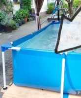 Pool (300 cm x 200 cm x 70 cm) Nur Abholung! Nordrhein-Westfalen - Velbert Vorschau