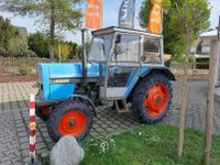 Traktor  Eicher 4048 Baden-Württemberg - Dietenheim Vorschau