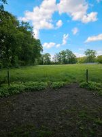 Offenstallplatz für 1-2 Pferde frei Nordrhein-Westfalen - Ibbenbüren Vorschau