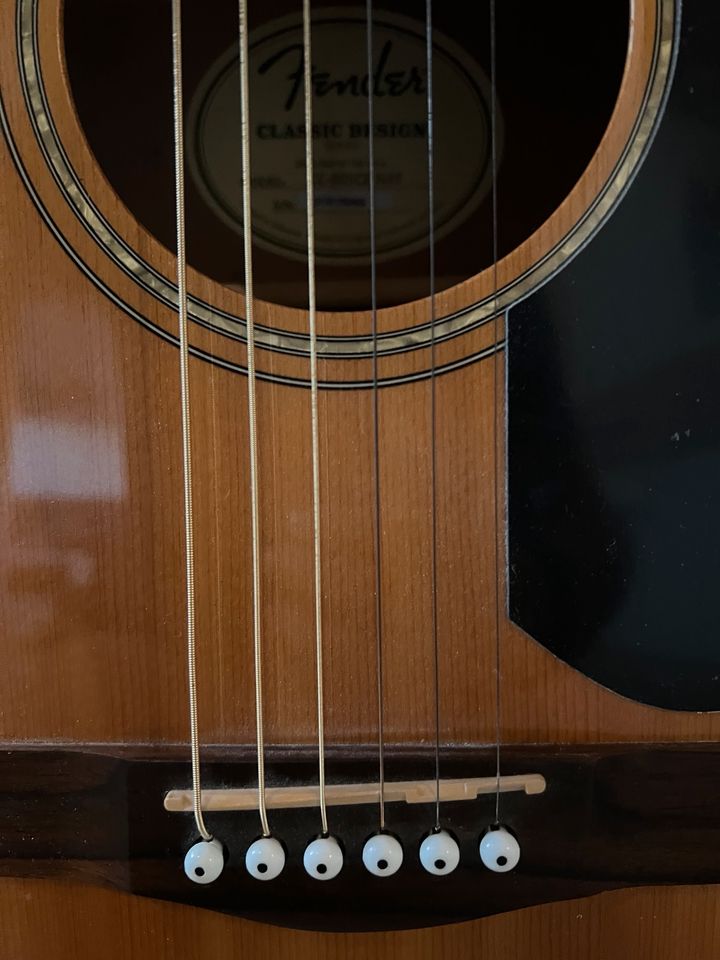 Fender Western Gitarre in Herne