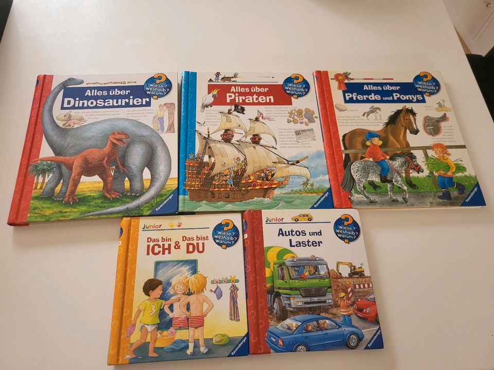 Wieso Weshalb Warum Bücher Dino Pferd Auto Paket in Nauheim